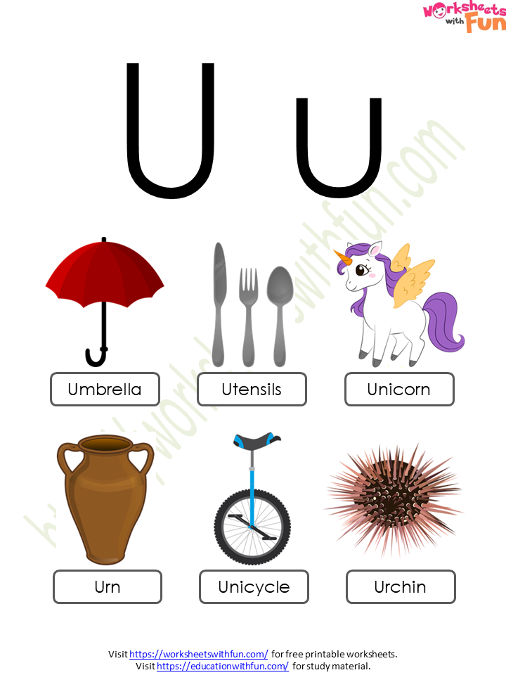 english-preschool-alphabet-letter-u-concept